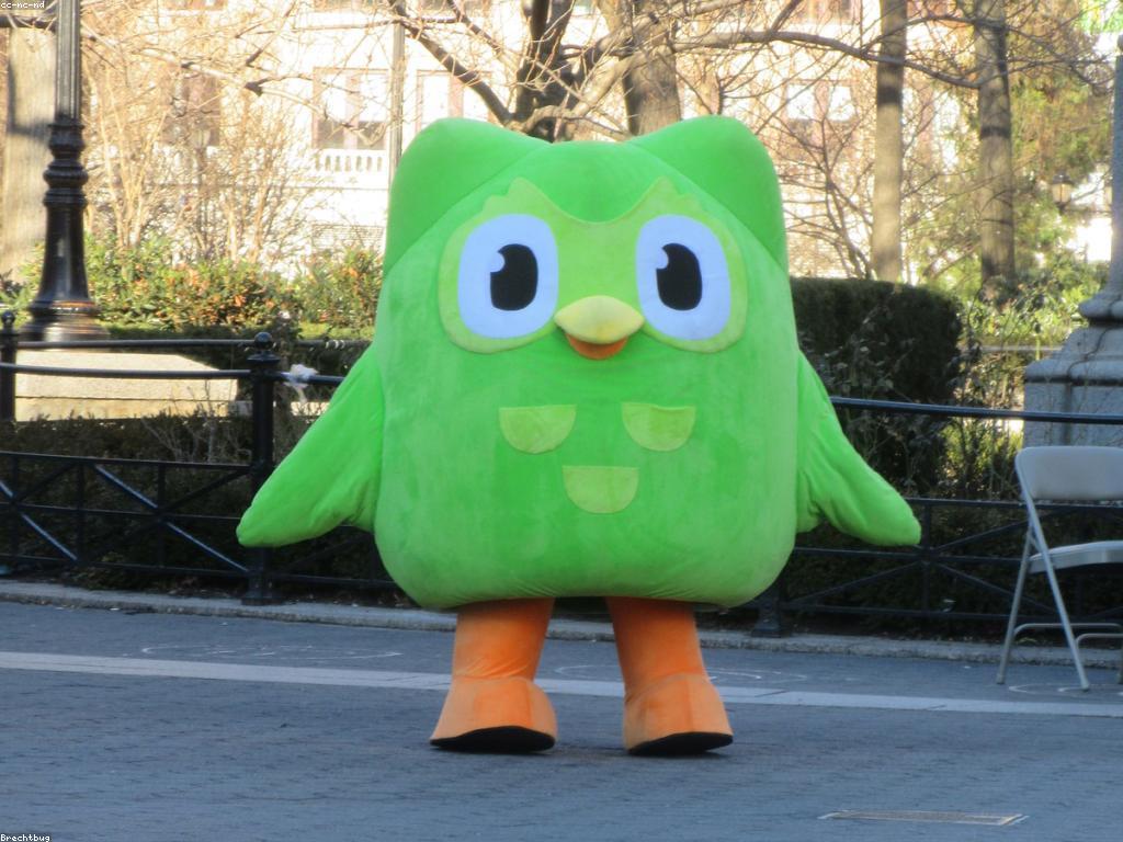 សំណួរនិងចម្លើយ: ការបង្កើតនិងស្វែងយល់ពីអ្វីដែលអ្នកត្រូវដឹង