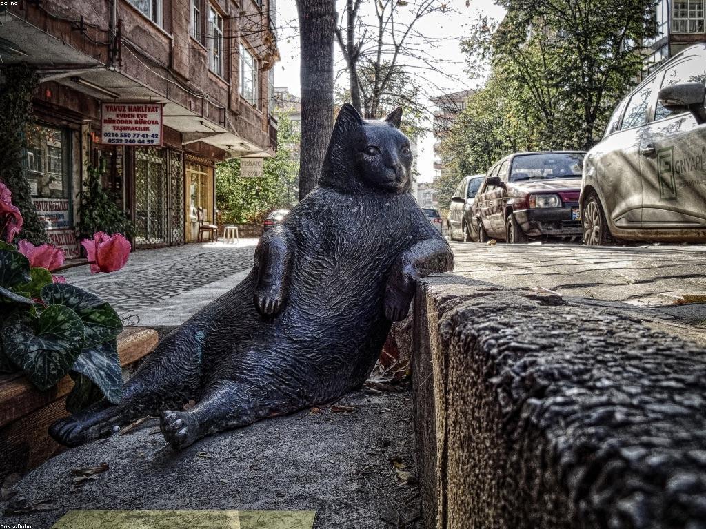 យុទ្ធសាស្ត្រស្លុត៖ ការប្រើប្រាស់សធាតុសមុទ្រដើម្បីការរស់នៅប្រកបដោយស្ថិរភាព