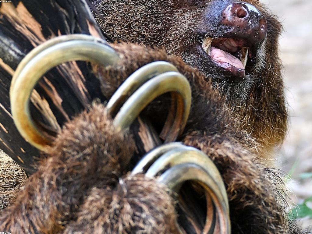 ជំហានដើម្បីបង្ហាញស្លុតអ្នកឱ្យមានភាពទាក់ទាញ