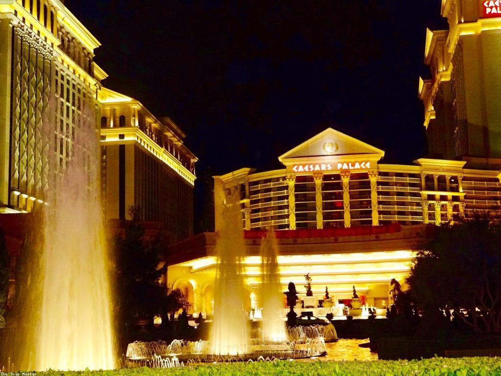 ការពិនិត្យស្លុត: សកម្មភាពដ៏សំខាន់សម្រាប់ការប្រកួតក្នុងការលេងកាស៊ីណូ