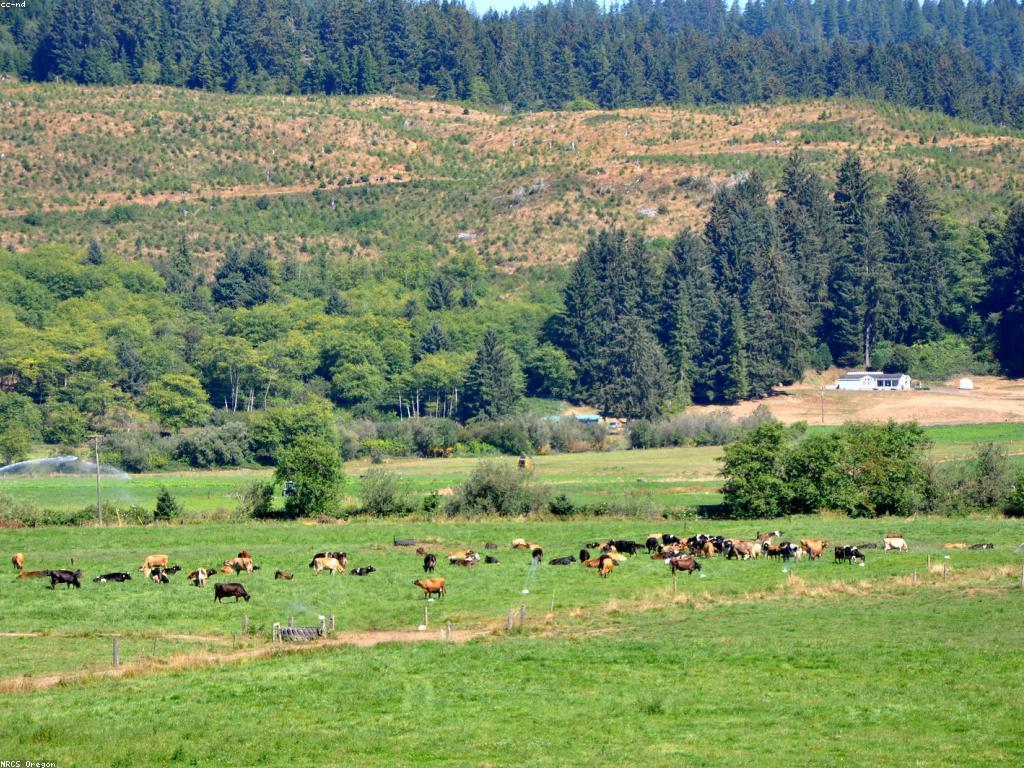 ការពិនិត្យស្លុត: ការពន្យល់និងការអនុវត្ត