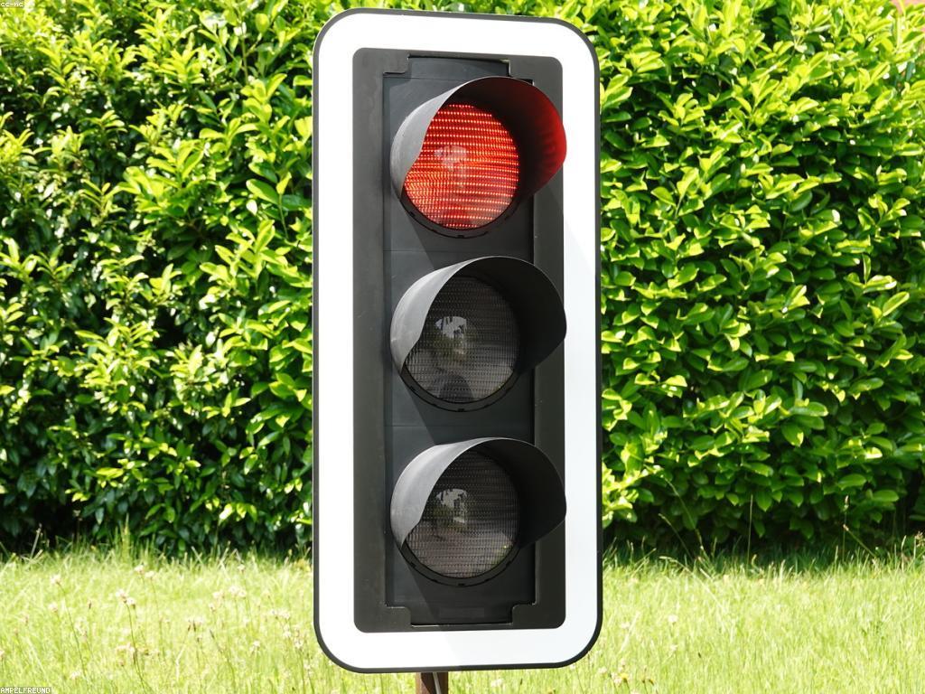 ការបង្ហាញស្លុត: ទីបំផុតនៃការបង្ហាញជំនាញថ្មី