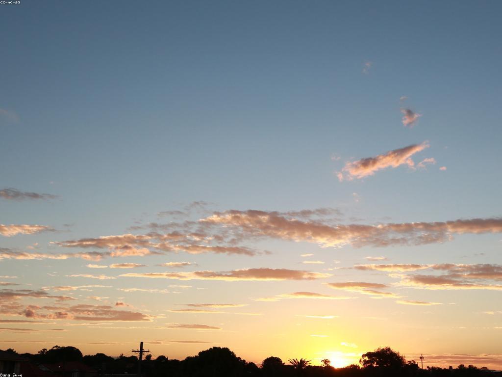 ពិនិត្យស្លុត: ការយល់ដឹងពីឥទ្ឋិពលនៃការជ្រើសរើសស្លុត