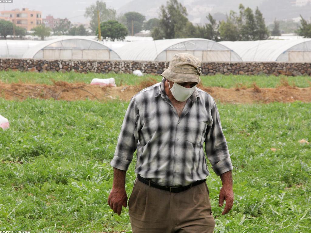 យុទ្ធសាស្ត្រស្លុត៖ ការអភិវឌ្ឍន៍កសិកម្មយ៉ាងស្ថិរភាព